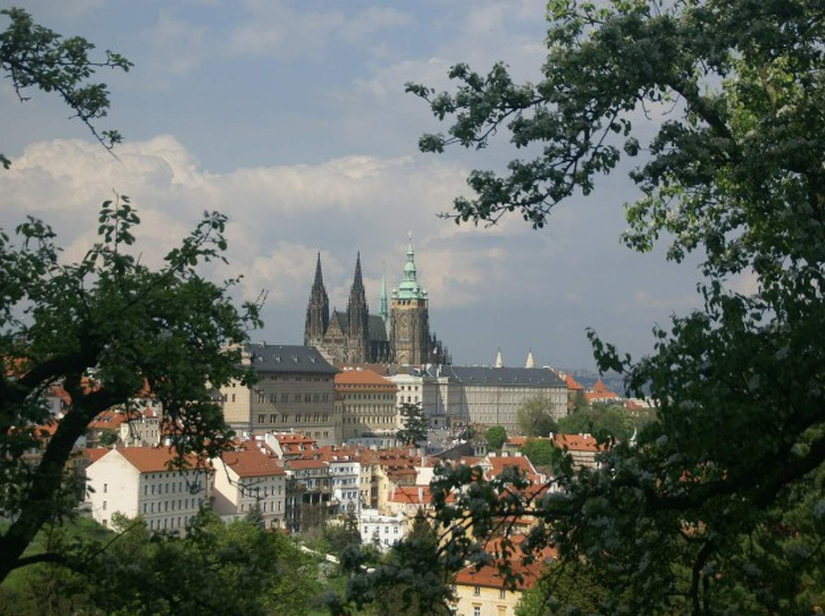 Prepare for the Prague Spring International Music Festival | Mamaison Prepare for the Prague Spring International Music Festival | Mamaison