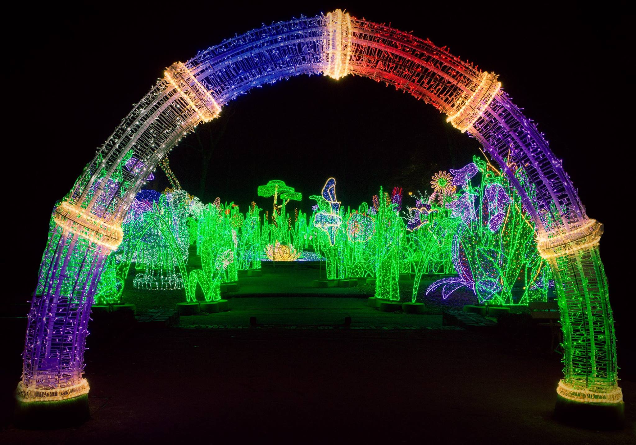 Wilanów magic garden