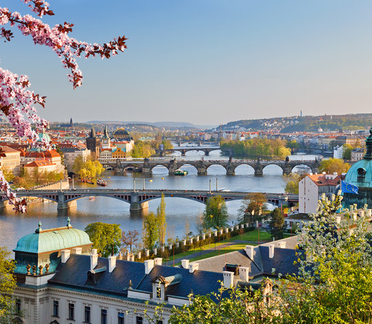 Spring in Prague's Royal Parks