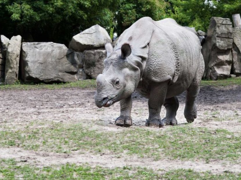 A Day at the Warsaw Zoo