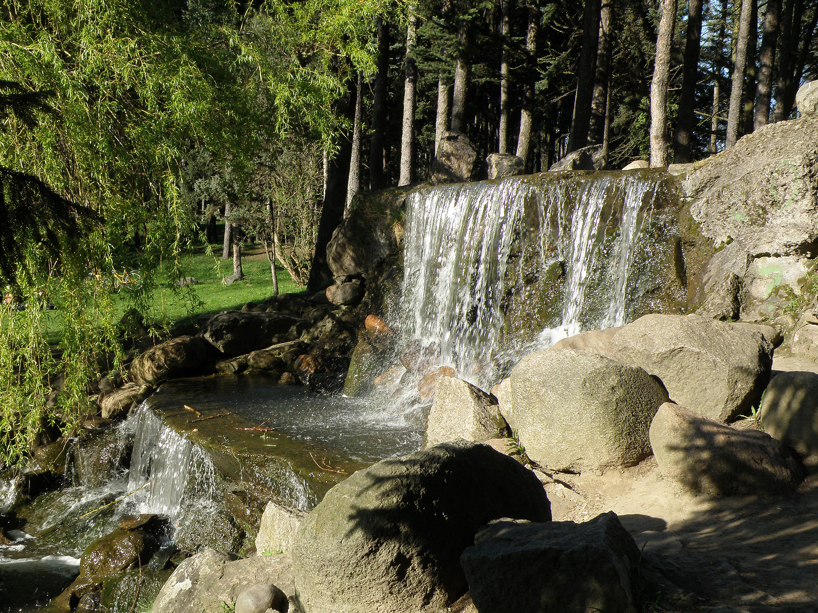 Park Skaryszewski