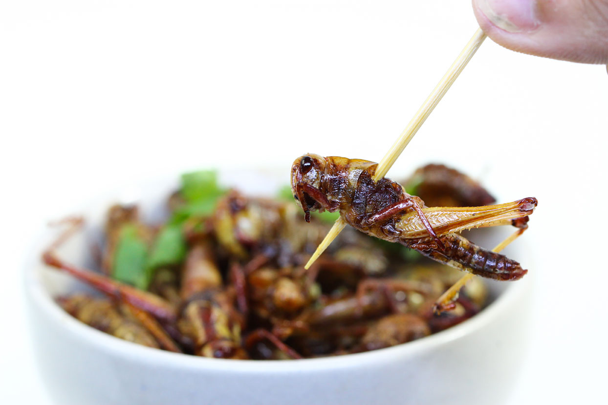 Entomophagy 