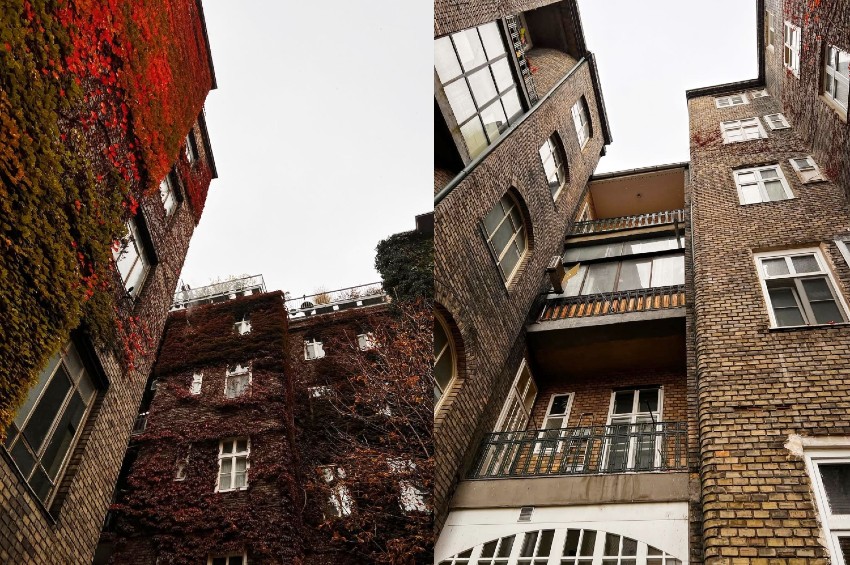 grosslingova_2_yimba.sk Linda Liskova850x565